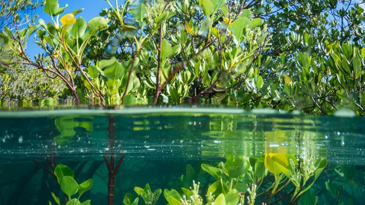 OceanScienceFact - Twitter